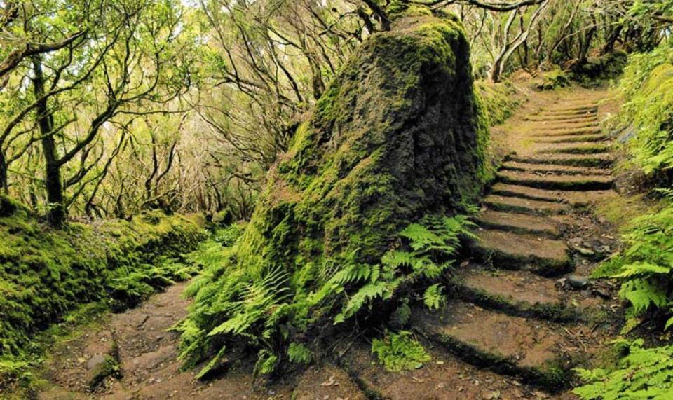 Mona'S Point Tenerife Διαμέρισμα Σαν Μιγκέλ ντε Αμπόνα Εξωτερικό φωτογραφία